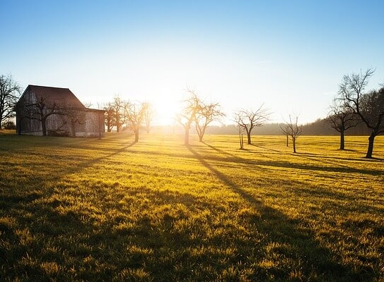 Farming